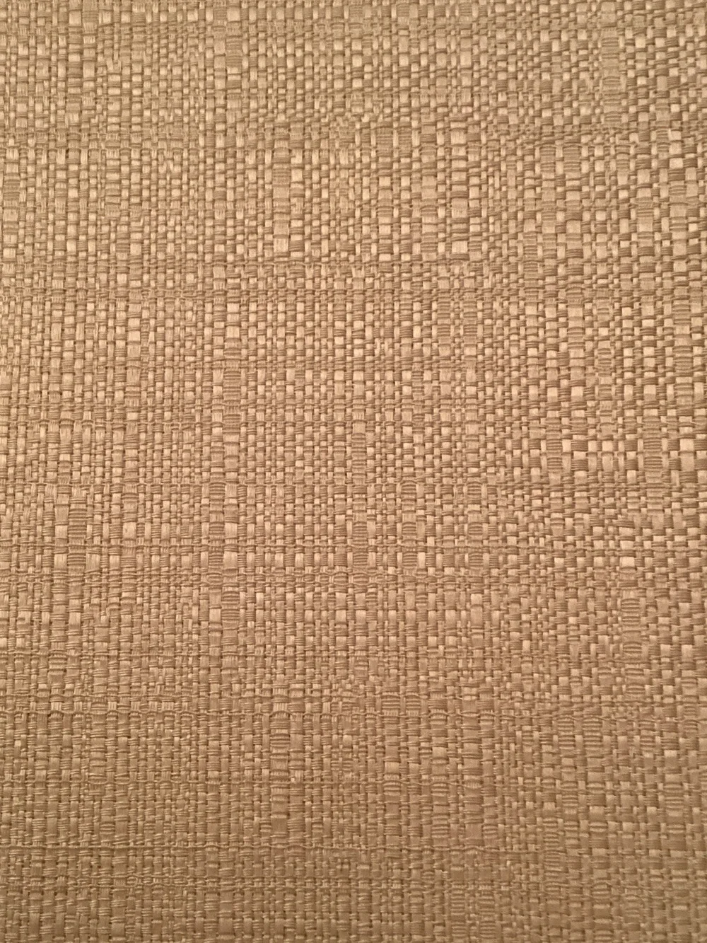 12 EUC Pier 1 Neutral Beige Linen-Texture Placemats